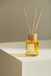 CINNAMON SPICE - LIYIEGA- The Mob Collective